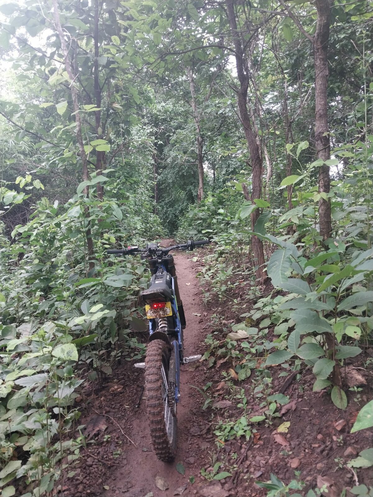 Image showcasing The Best Electric Motorcycles Available Today - EBIKE Delight