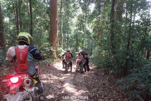 Join In Motorcycle Tours (8)